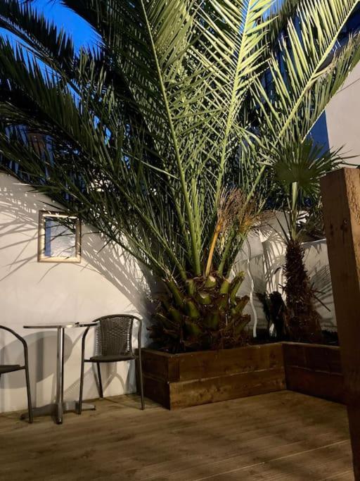 Apartament Brighton Palms Zewnętrze zdjęcie