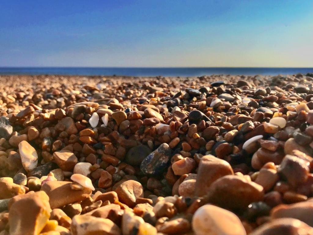 Apartament Brighton Palms Zewnętrze zdjęcie